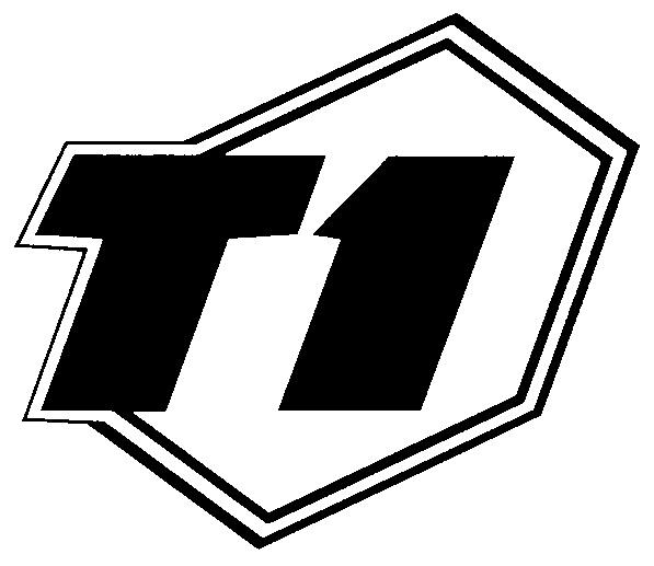 Т1 T1
