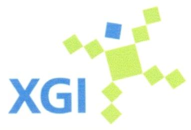 XGI X Х