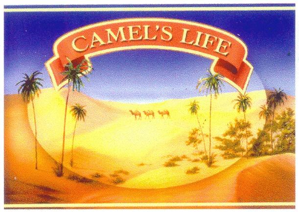 CAMELS LIFE CAMEL
