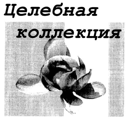 ЦЕЛЕБНАЯ КОЛЛЕКЦИЯ