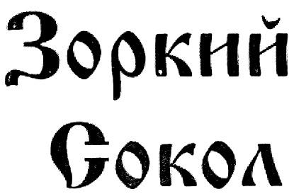 ЗОРКИЙ СОКОЛ