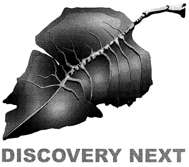 DISCOVERY DISCOVERY NEXT