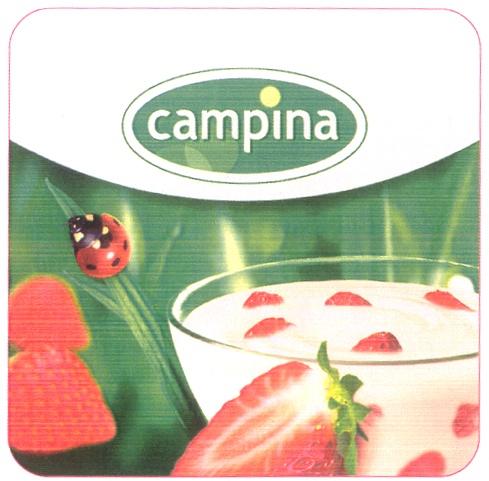 CAMPINA