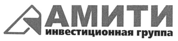 АМИТИ АМИТИ ИНВЕСТИЦИОННАЯ ГРУППА