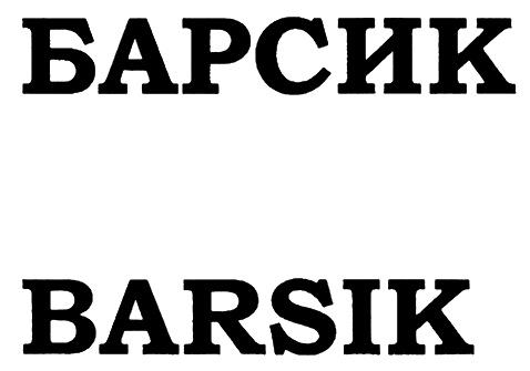 БАРСИК BARSIK