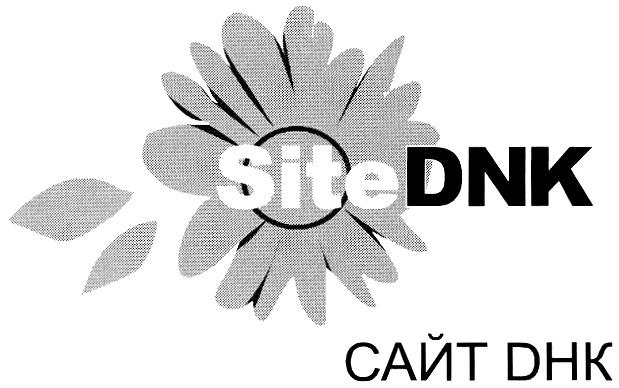 САИТ SITE DNK САЙТ ДНК