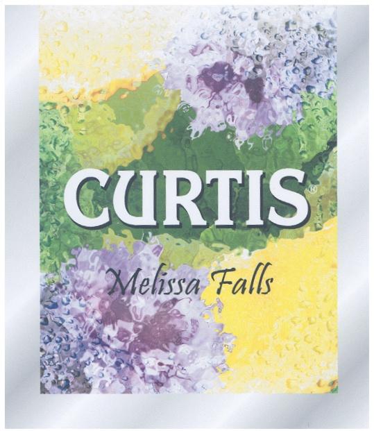 CURTIS MELISSA FALLS