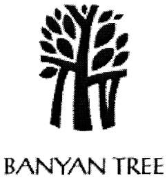 BANYAN BANYAN TREE