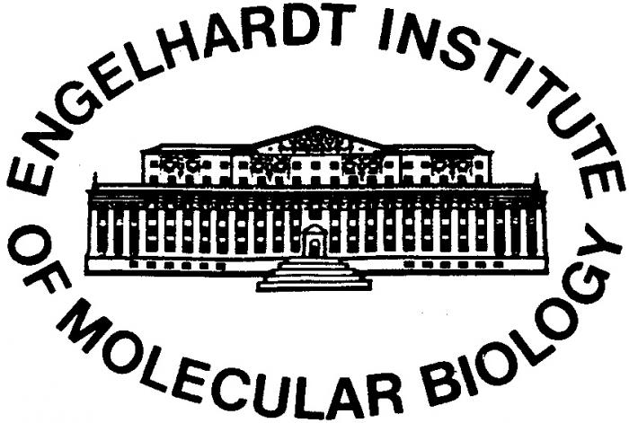 ENGELHARDT INSTITUTE OF MOLECULAR BIOLOGY