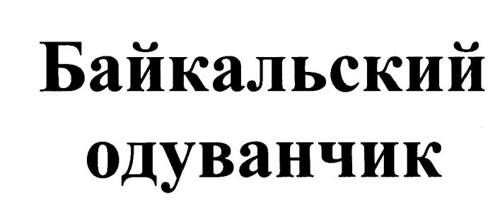 БАЙКАЛЬСКИЙ ОДУВАНЧИКОДУВАНЧИК