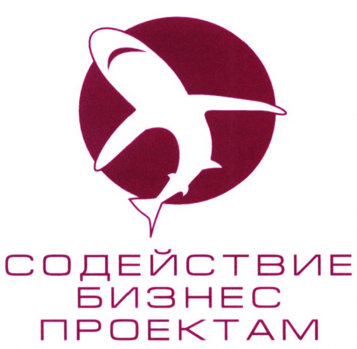 СОДЕЙСТВИЕ БИЗНЕС ПРОЕКТАМПРОЕКТАМ