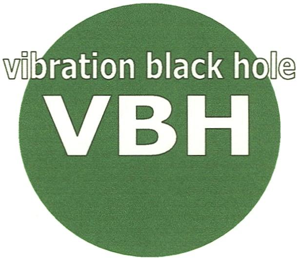 BLACKHOLE VIBRATION VBH VIBRATION BLACK HOLEHOLE