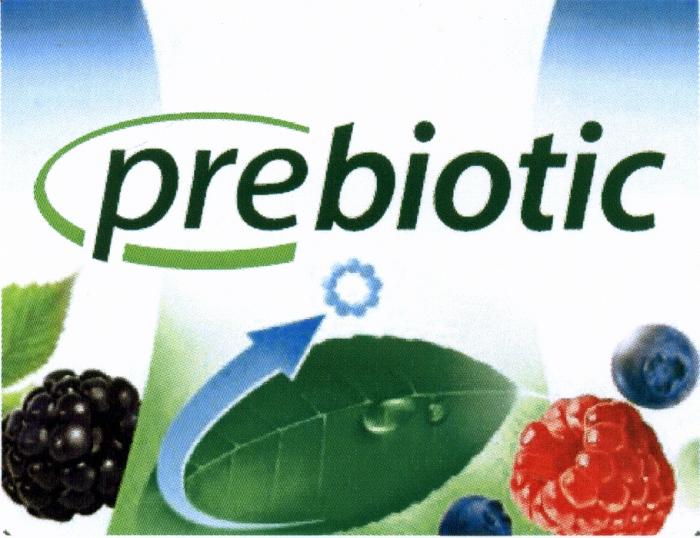 PREBIOTIC BIOTIC PRE PREBIOTIC