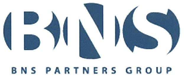 BNSPARTNERSGROUP BNSPARTNERS BNS PARTNERS GROUPGROUP