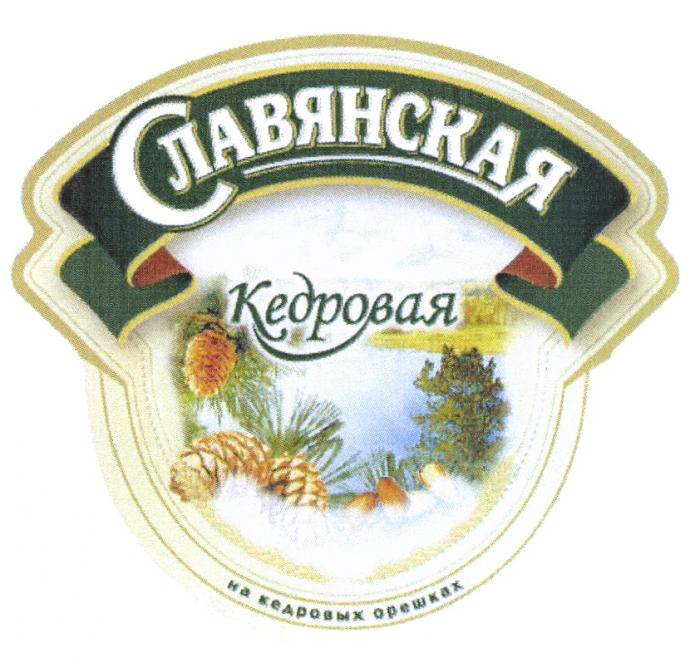 СЛАВЯНСКАЯ СЛАВЯНСКАЯ КЕДРОВАЯ НА КЕДРОВЫХ ОРЕШКАХОРЕШКАХ