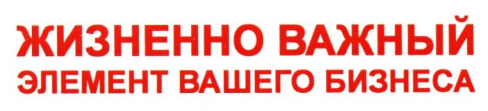 ЖИЗНЕННОВАЖНЫЙ ЖИЗНЕННО ВАЖНЫЙ ЭЛЕМЕНТ ВАШЕГО БИЗНЕСАБИЗНЕСА