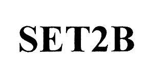 SETTOBE SETTWOBE SETB SET 2B SET2BSET2B