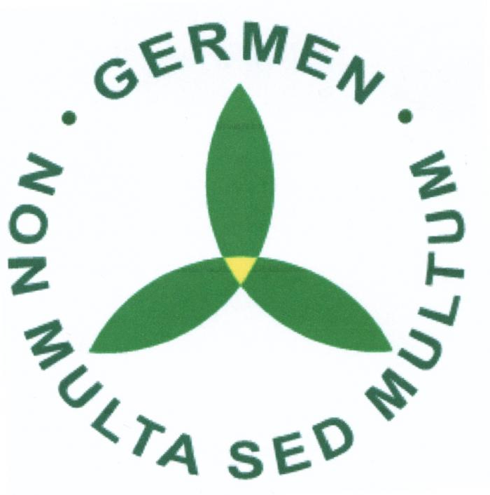 GERMEN GERMEN NON MULTA SED MULTUMMULTUM