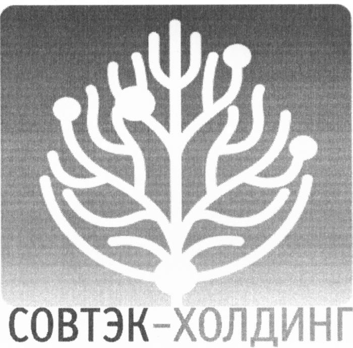 СОВТЭК СОВТЭК - ХОЛДИНГХОЛДИНГ