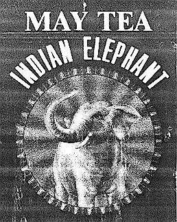 MAY INDIAN ELEPHANT TEA