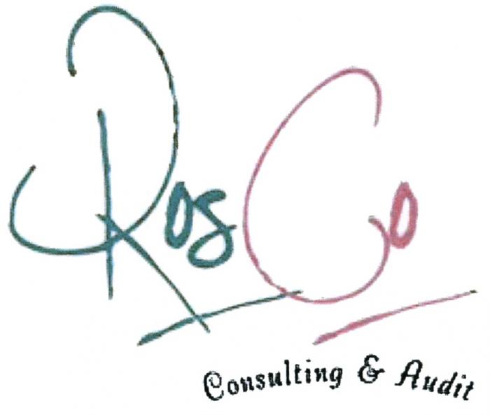 ROSCO ROSGO ROSCO ROS GO ROSCO CONSULTING & AUDITAUDIT