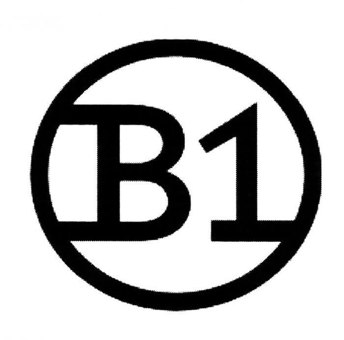 B1 В1В1