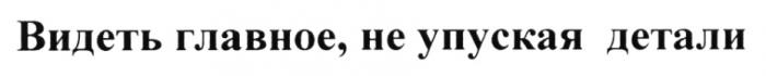 ВИДЕТЬ ГЛАВНОЕ НЕ УПУСКАЯ ДЕТАЛИДЕТАЛИ