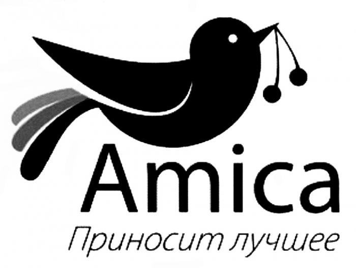 AMICA ПРИНОСИТ ЛУЧШЕЕЛУЧШЕЕ