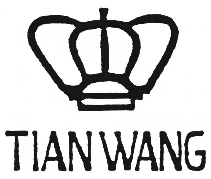 TIAN WANGWANG