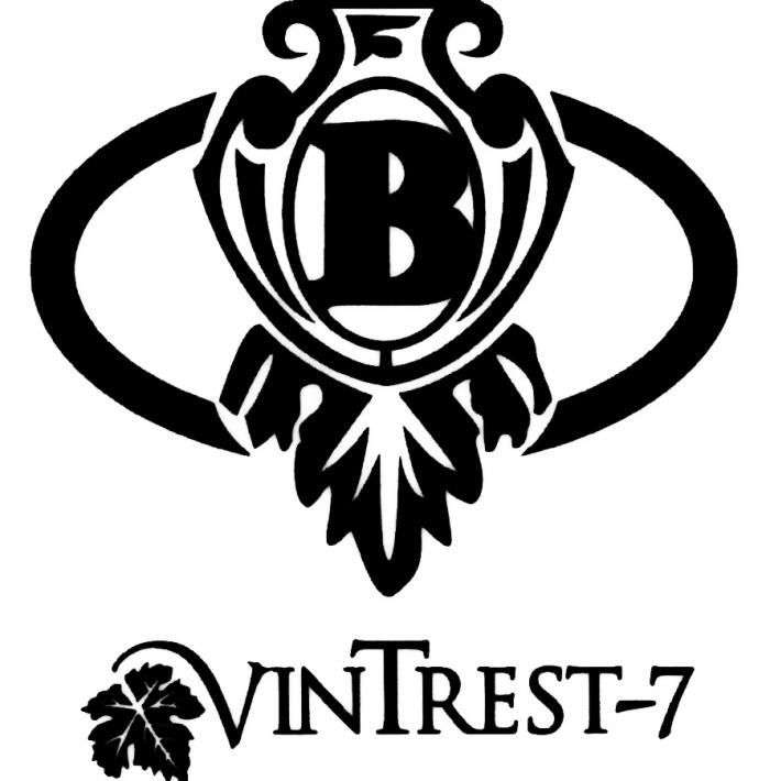 VINTREST TREST VIN TREST VINTREST-7VINTREST-7