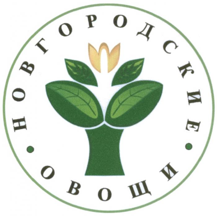 НОВГОРОДСКИЕ ОВОЩИОВОЩИ