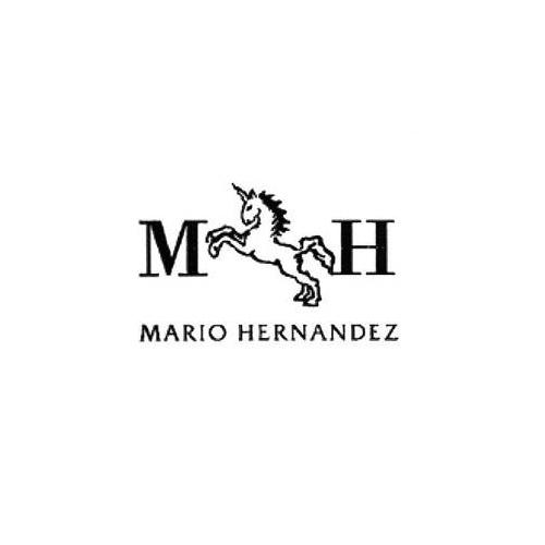 MARIOHERNANDEZ HERNANDEZ MH MARIO HERNANDEZ