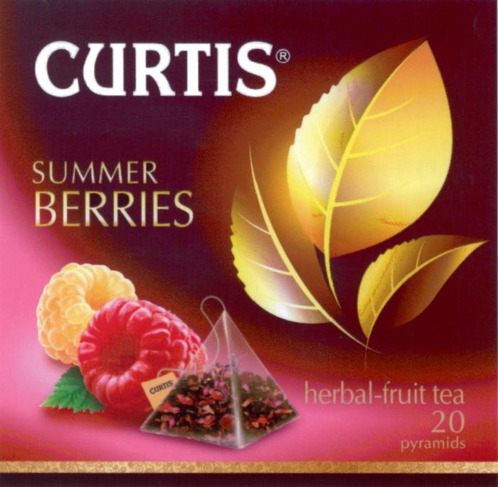 CURTIS CURTIS SUMMER BERRIES HERBAL-FRUIT TEATEA