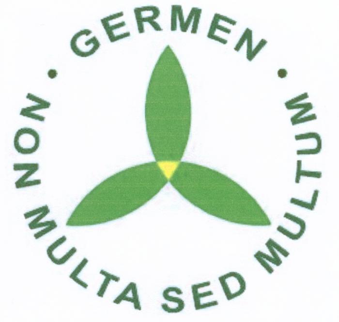 GERMEN MULTA MULTUM GERMEN NON MULTA SED MULTUM