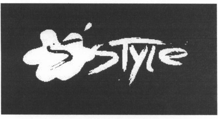 SSTYLE STYLE SSTYLES'STYLE