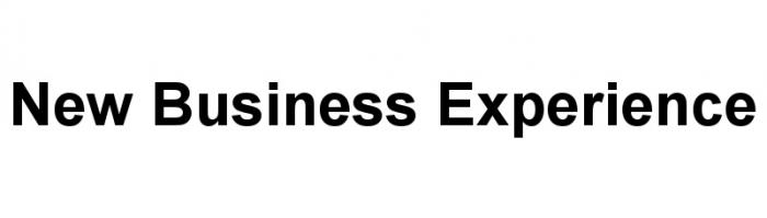 NEW BUSINESS EXPERIENCEEXPERIENCE