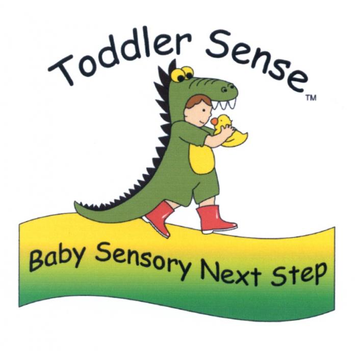 TODDLER TODDLER SENSE BABY SENSORY NEXT STEPSTEP