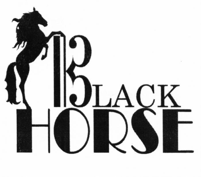 BLACK HORSEHORSE