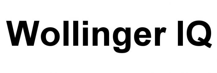 WOLLINGERIQ WOLLINGER WOLLINGER IQIQ