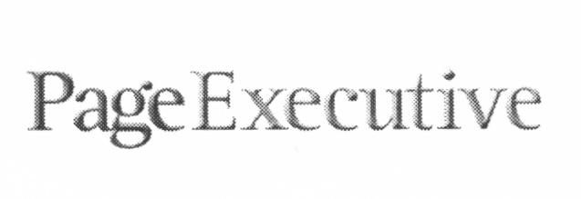 PAGE EXECUTIVEEXECUTIVE