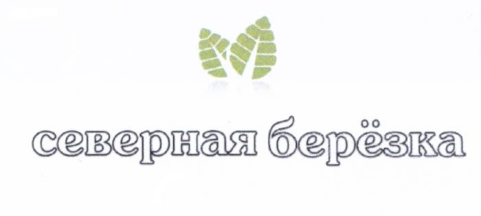 БЕРЕЗКА СЕВЕРНАЯ БЕРЁЗКАБЕРEЗКА