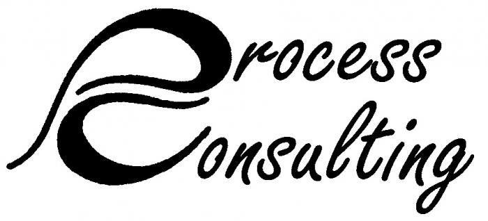 PROCESS CONSULTING