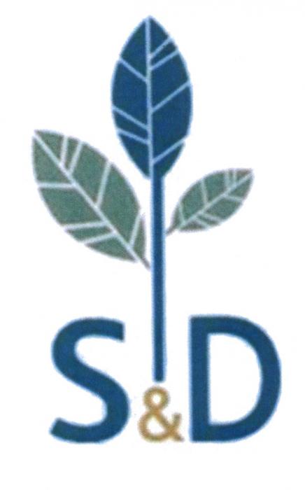 S&D SDSD