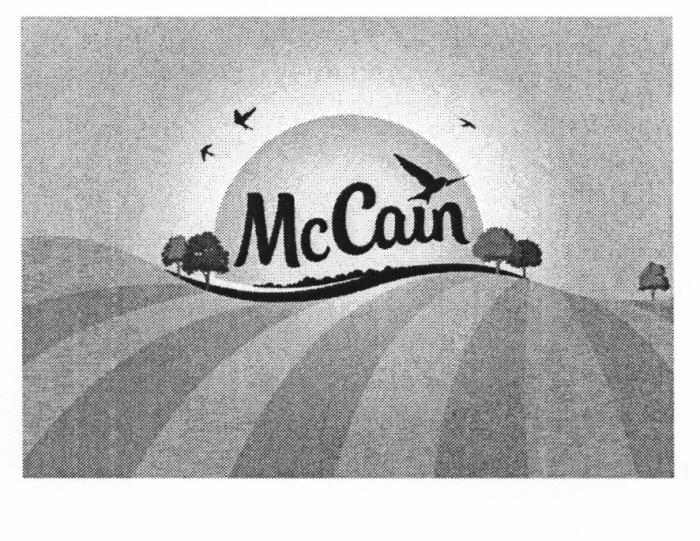 МАККЕЙН MCCAIN CAIN MC CAIN MCCAIN