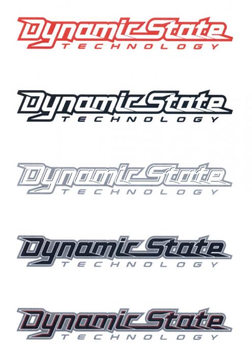 DYNAMICSTATE DYNAMIC STATE DYNAMICSTATE TECHNOLOGYTECHNOLOGY