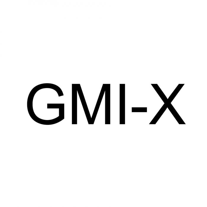 GMI GMIX GMIX GMI GMI-XGMI-X
