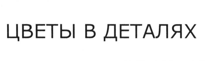 ЦВЕТЫ В ДЕТАЛЯХДЕТАЛЯХ