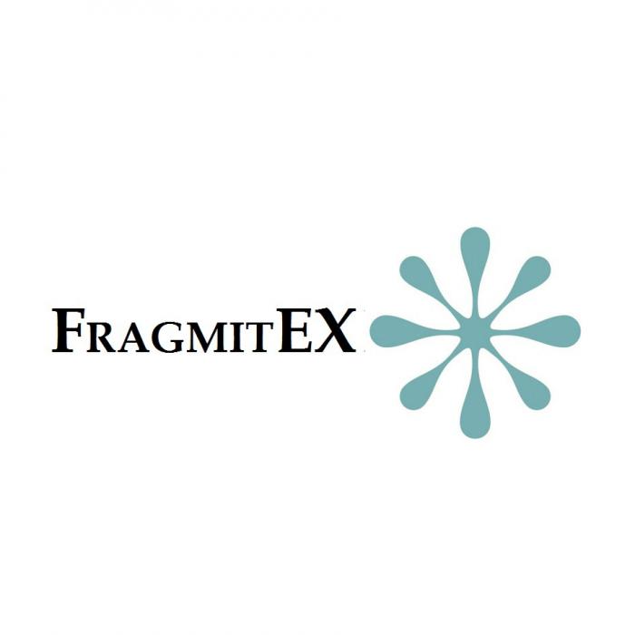 FRAGMITEX FRAGMIT FRAGMIT EX FRAGMITEX