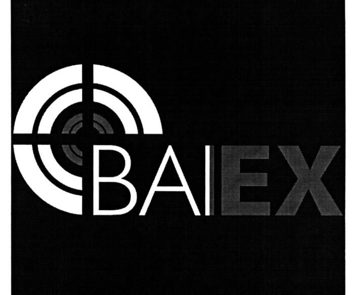 BAIEX BAI BAI EX BAIEX