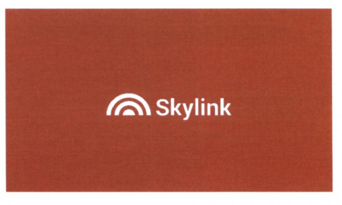 SKYLINK SKYSKY